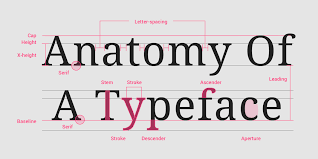 Typography: The Artistic Language of Visual Design