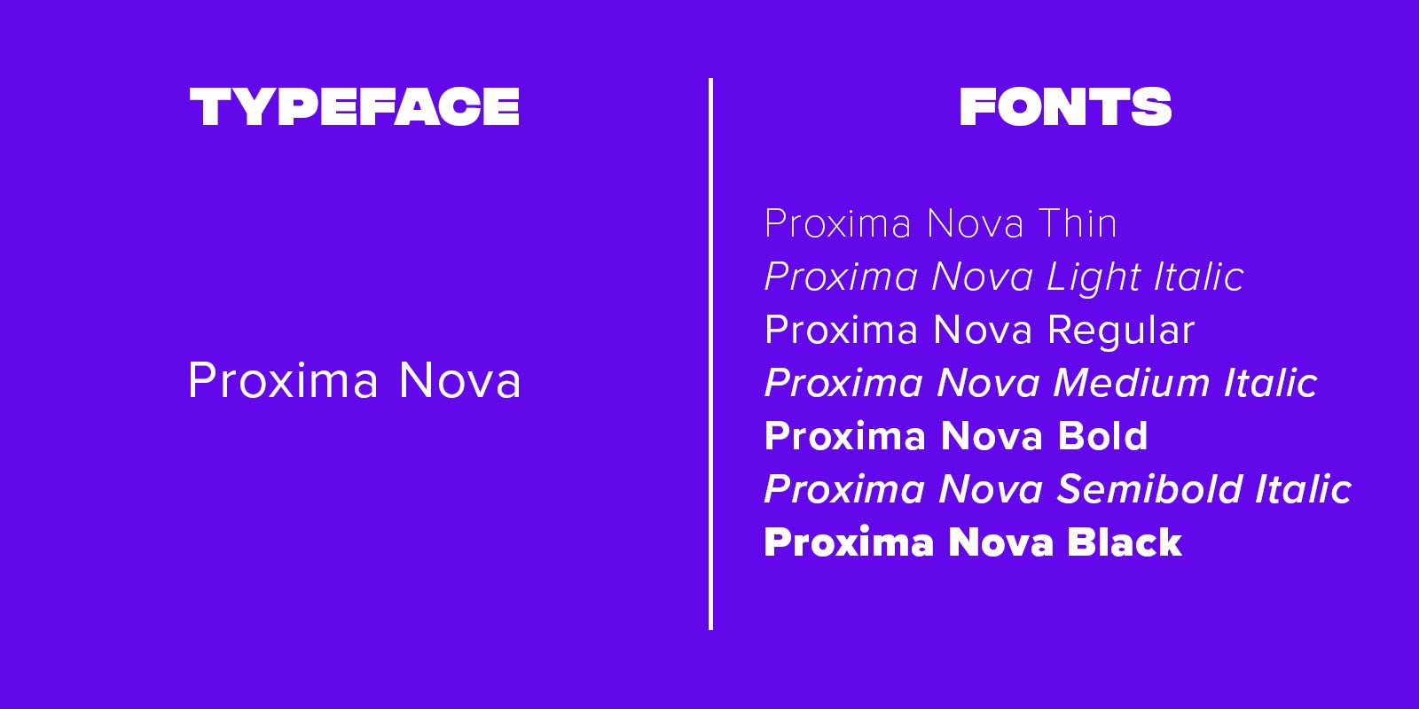 Exploring the Diverse World of Different Typography Designs