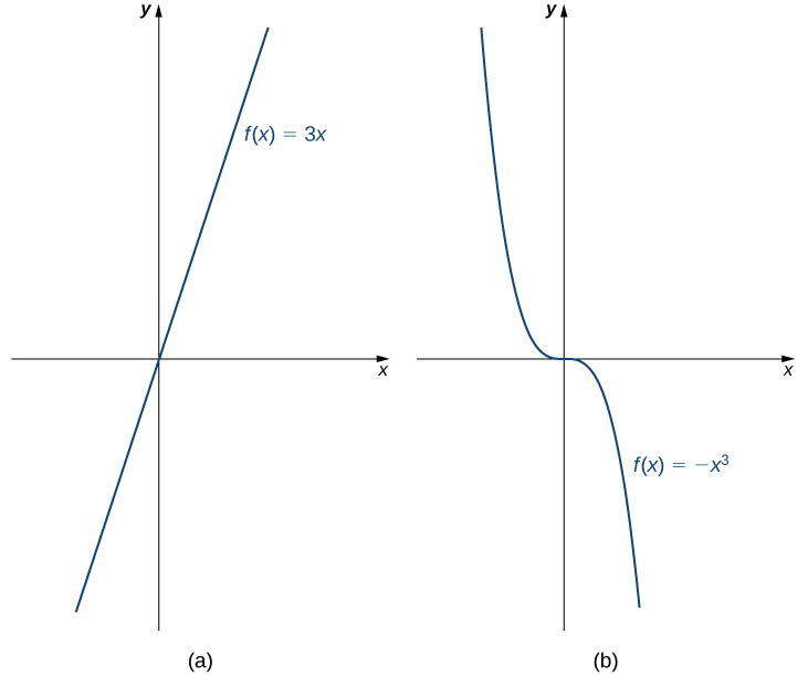 Maximizing Efficiency: Harnessing the Power of Functions in Programming