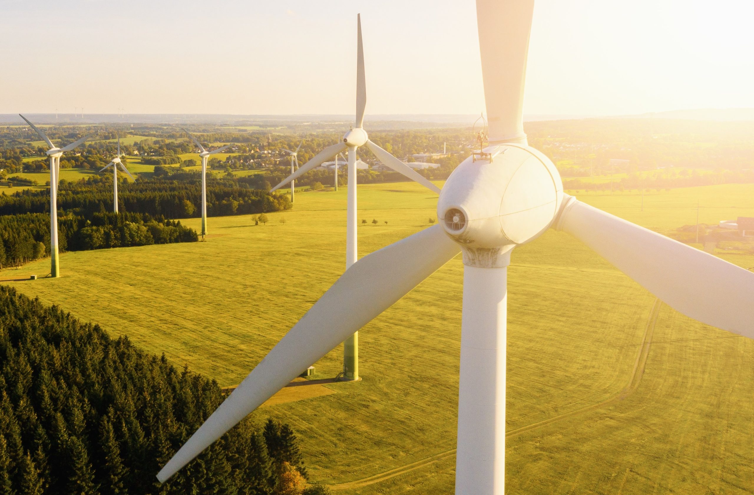 Exploring the Diverse Landscape of Modern Industries