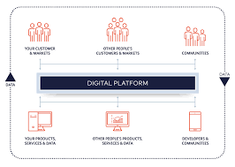 Platform Innovation: Shaping the Future of Digital Connectivity